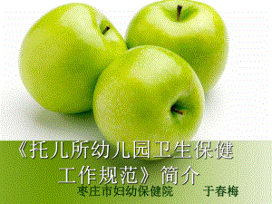 管理制度-托儿所幼儿园卫生保健工作规范简介 精品001.ppt