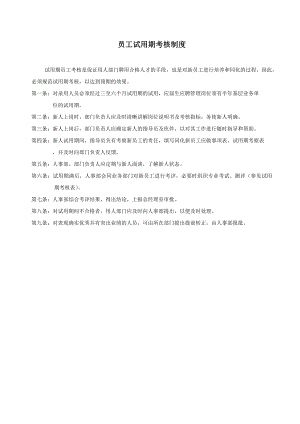 管理制度-员工试用期考核制度 精品.doc