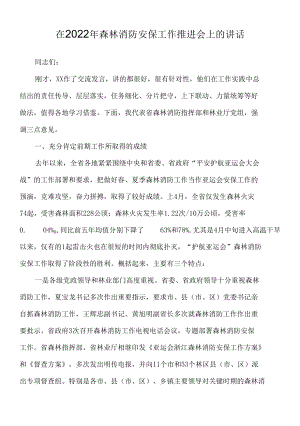 在2022年森林消防安保工作推进会上的讲话.docx