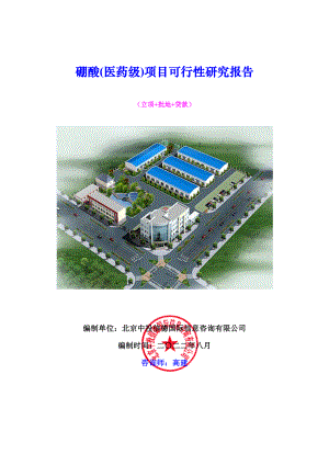 医疗行业-硼酸医药级项目可行性研究报告.doc