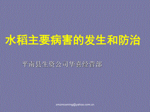 表格模板-技术代表水稻主要病害 精品.ppt
