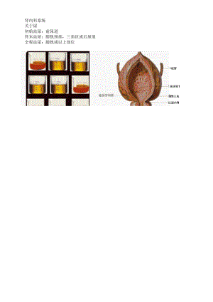内科主治医师《相关专业知识专业知识》04.肾内科系统.docx