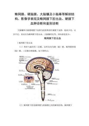 蛛网膜硬脑膜大脑镰及小脑幕等解剖结构影像学表现及蛛网膜下腔出血硬膜下血肿诊断和鉴别诊断.docx