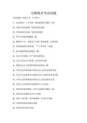 毛概期末考试试题.docx