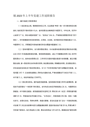 镇2023年上半年党建工作述职报告.docx
