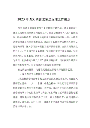 2023年XX镇普法依法治理工作要点.docx