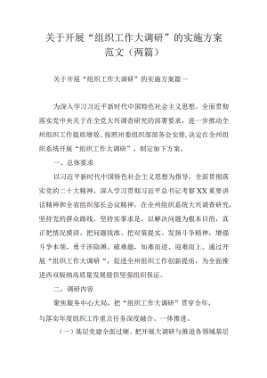 关于开展组织工作大调研的实施方案范文两篇.docx
