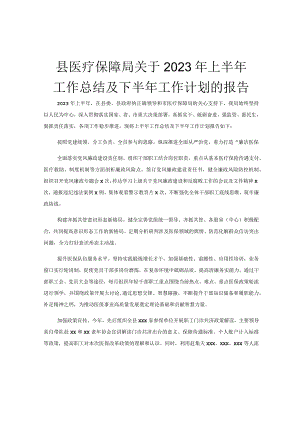 县医疗保障局关于2023年上半年工作总结及下半年工作计划的报告.docx