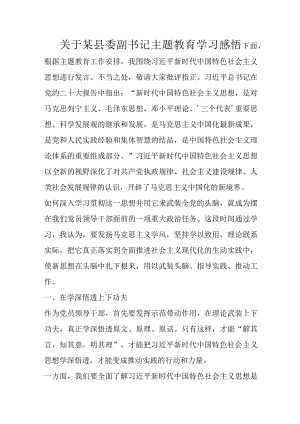 关于某县委副书记主题教育学习感悟优选范文.docx