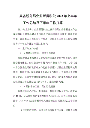 某省税务局企业所得税处2023年上半年工作总结及下半年工作打算.docx