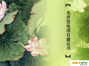 光伏发电项目建议书.ppt