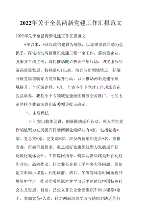 2022年关于全县两新党建工作汇报范文.docx