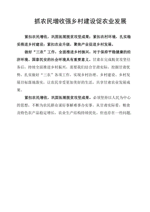抓农民增收 强乡村建设 促农业发展.docx