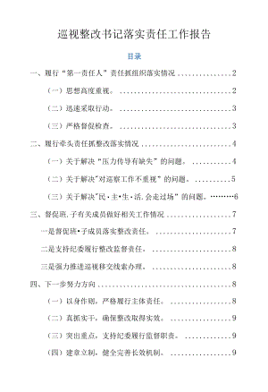 巡视整改书记落实责任工作报告.docx