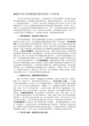 2023年区共青团基层组织改革工作总结.docx