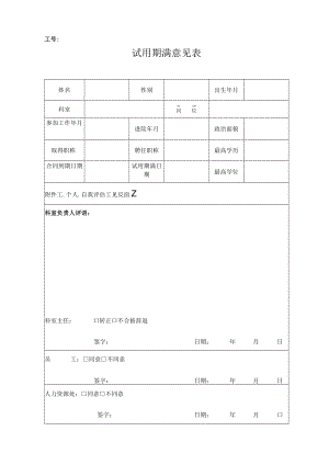 试用期满意见表.docx