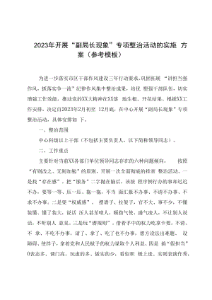 2023年开展副局长现象专项整治活动的实施方案参考模板.docx