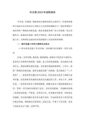 村支部2023年述职报告.docx