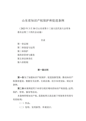 山东省知识产权保护和促进条例.docx