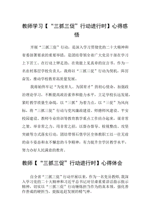 教师学习【“三抓三促”行动进行时】心得感悟(精选三篇).docx