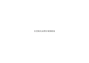 佐登妮丝品牌区域策略案.docx