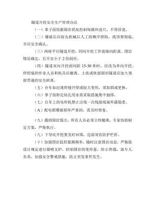 隧道开挖安全生产管理办法.docx