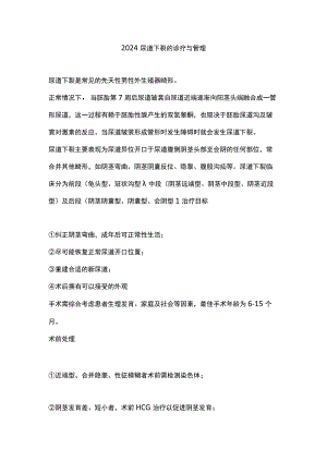 2024尿道下裂的诊疗与管理.docx