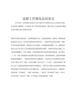 巡察工作情况总结范文.docx