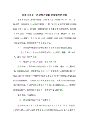 乡委员会关于巡察整改阶段进展情况的报告.docx