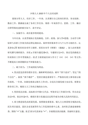 乡镇人大2023年个人总结述职.docx