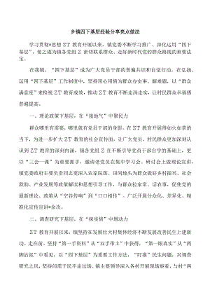 乡镇四下基层经验分享亮点做法.docx