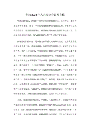 参加2024年人大政协会议发言稿.docx
