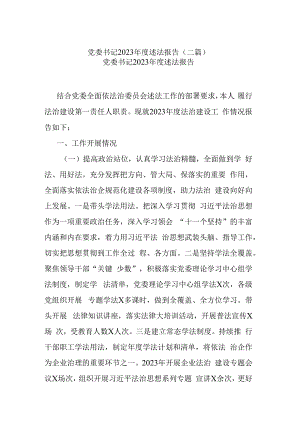 党委书记2023年度述法报告(二篇).docx