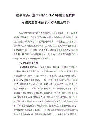 区委常委、宣传部部长2023年度主题教育专题民主生活会个人对照检查材料.docx