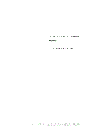 通光线缆：四川通光光纤有限公司审计报告及财务报表.docx