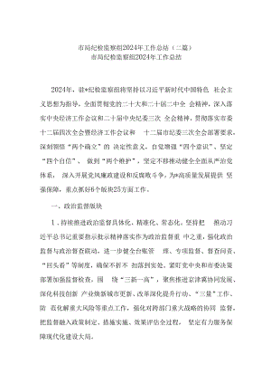 市局纪检监察组2024年工作总结(二篇).docx