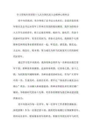 市区中学教师学习贯彻共青团第十九次全国代表大会精神个人心得体会 样板7份.docx