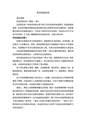 劳动实践总结.docx