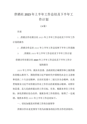 供销社2023年上半年工作总结及下半年工作计划3篇.docx