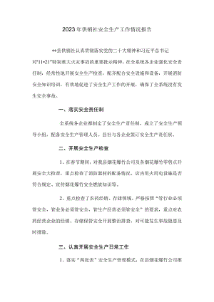 2023年供销社安全生产工作情况报告.docx
