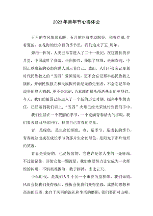 2023年青年节心得和体会(2).docx
