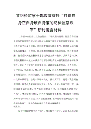 某纪检监察干部教育整顿“打造自身正自身硬自身廉的纪检监察铁军”研讨发言材料.docx