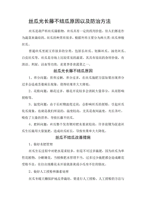 丝瓜光长藤不结瓜原因以及防治方法.docx