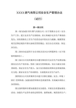 燃气有限公司安全生产管理办法（试行）.docx