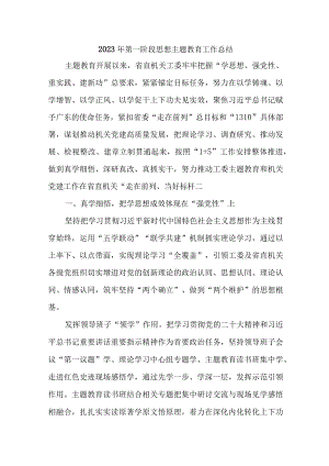 2023年乡镇开展第一阶段思想主题教育工作总结（6份）.docx