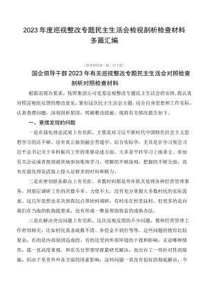 2023年度巡视整改专题民主生活会检视剖析检查材料多篇汇编.docx