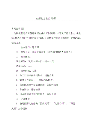 实用的方案公司7篇.docx