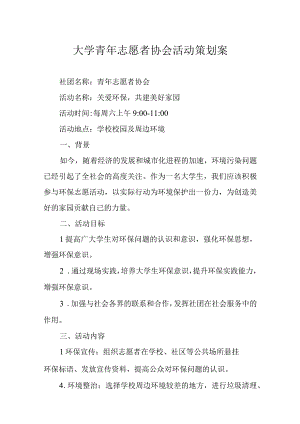 青年志愿者活动策划书5套.docx