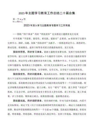 2023年主题学习教育工作总结二十篇合集.docx