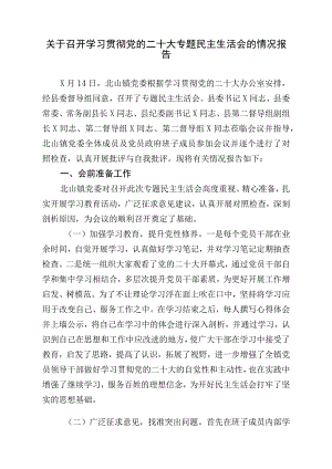 关于召开学习贯彻党的二十大专题民主生活会的情况报告.docx